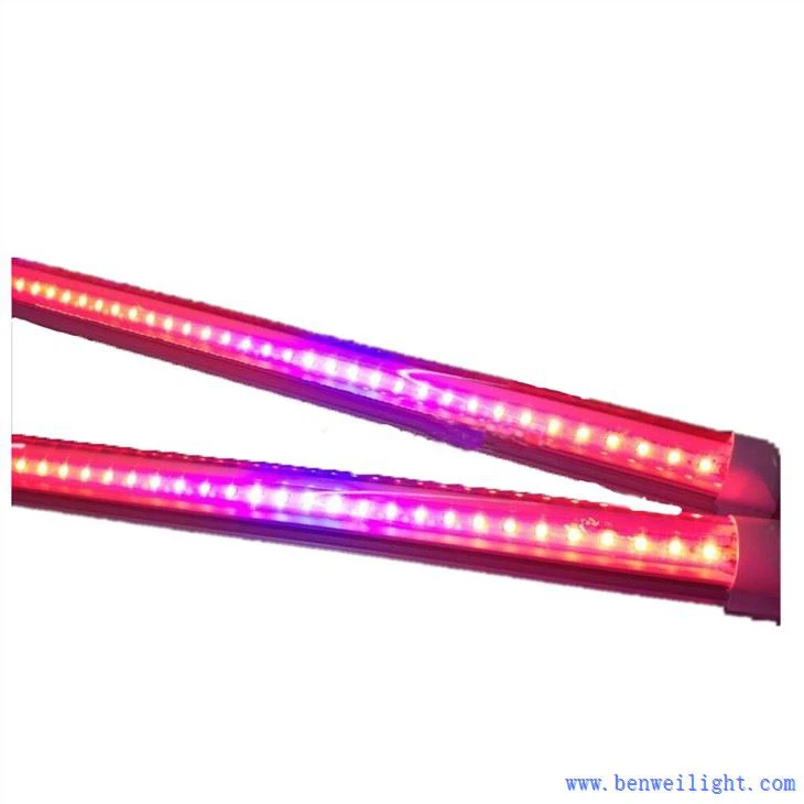 Kan ethvert lys bruges som vækstlys