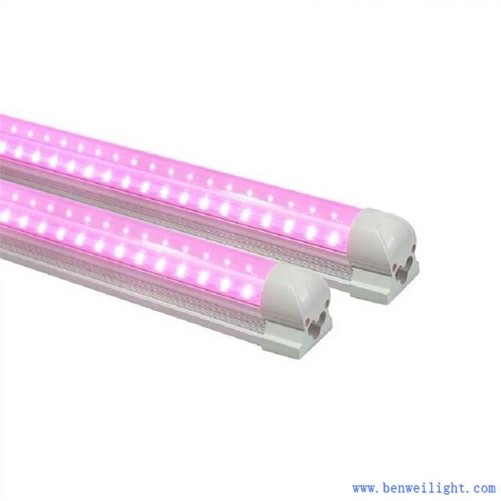 grow light color meaning