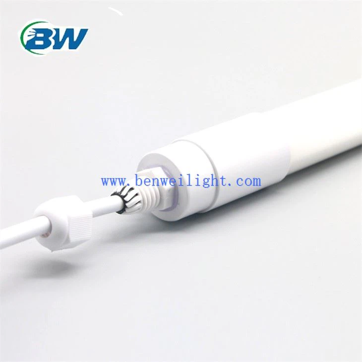 Led lys til fjerkræhus