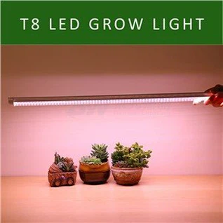 T8 LED Vokse Light Tube