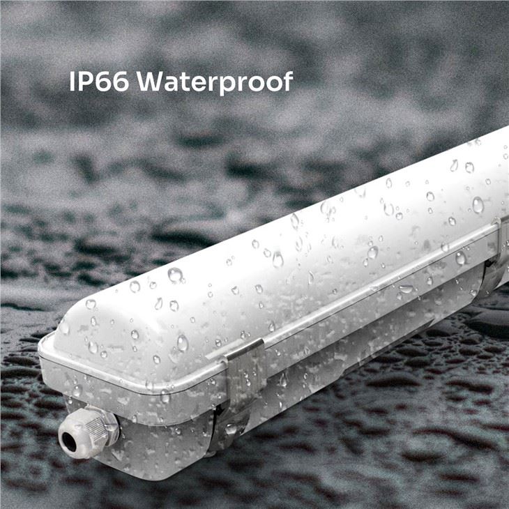 IP66 LED Tri-proof Light