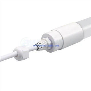 Hønsegårdsbelysning til ægproduktion