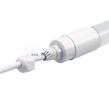 Fjerkræ lysstyring af lagkyllingehuset