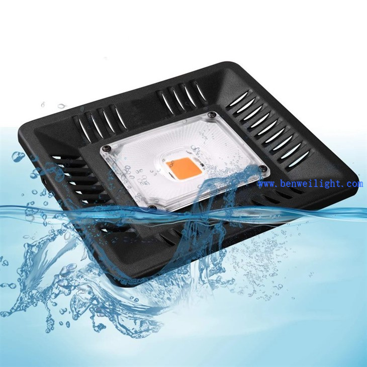 100W Waterproof IP67 Growing Phyto Lamp 2