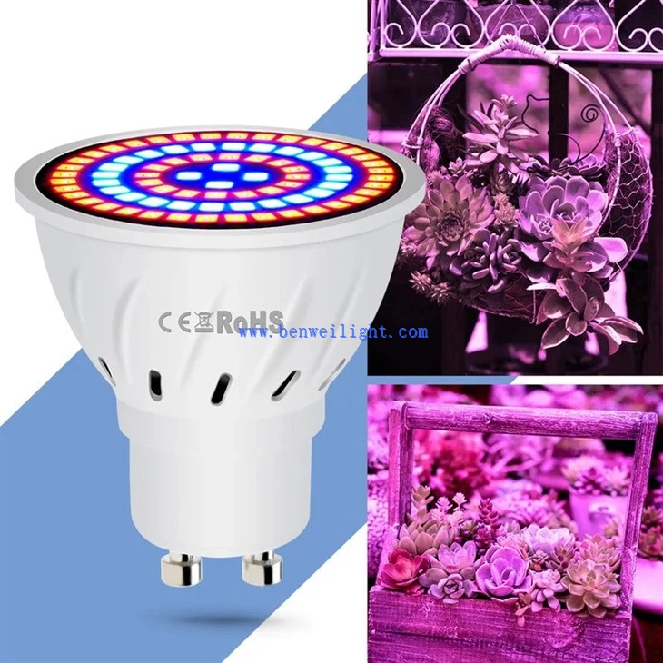 Plant growth lamp 5