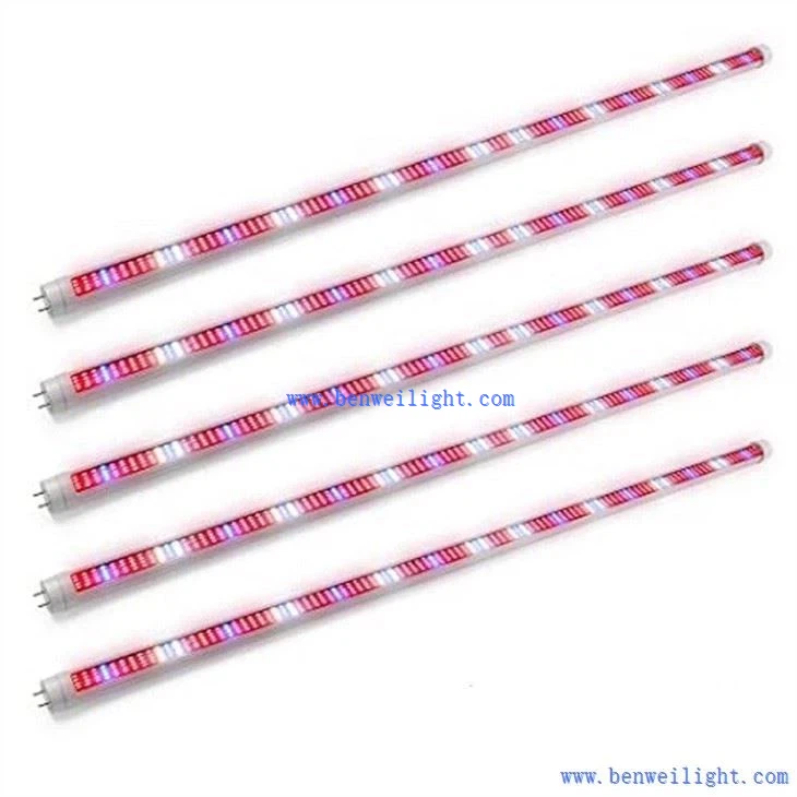 freezer tubeIMG_1089