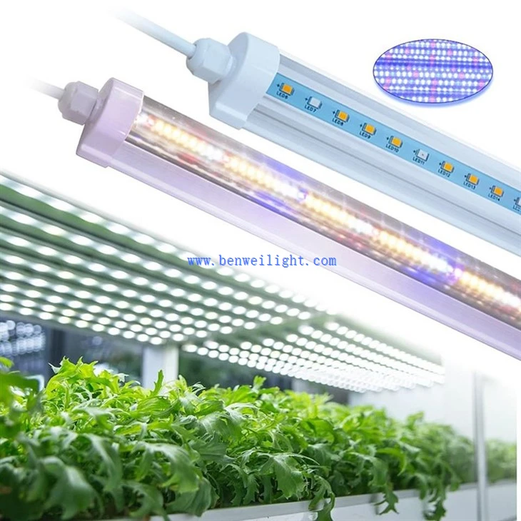 luces de cultivo led