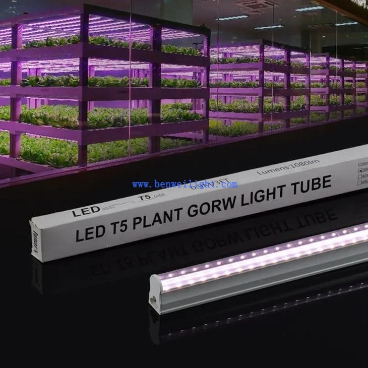 T5 High PPFD Grow Lights
