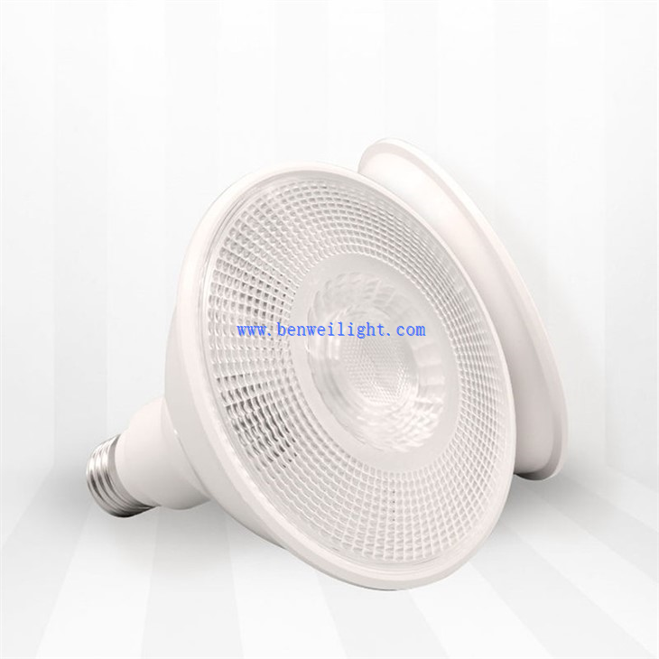 par38 light fixture