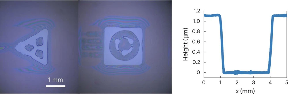 173042992762538 173042992762538