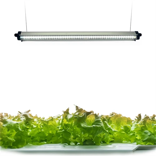 Led Grow Panel/Clamp On Led B, Blå, 120V, Pære inkluderet