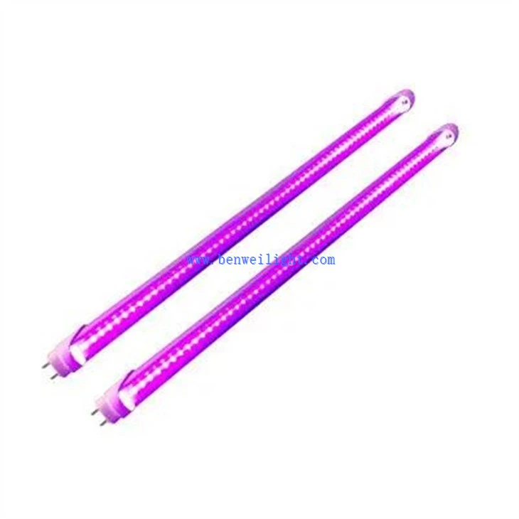 LED Tube Violet Light (2)