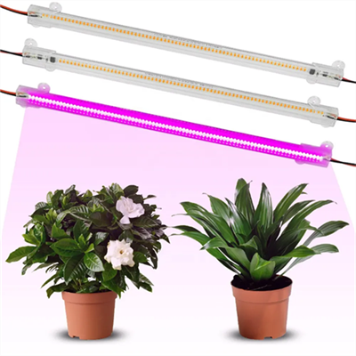 50w LED Grow Lights til indendørs planter
