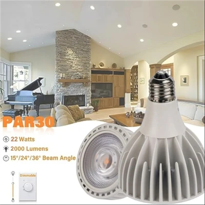 PAR30 Spotlight LED-pære 30 Watt COB (200 Watt Eqv.) 3000 Lumens Flood Light-pærer