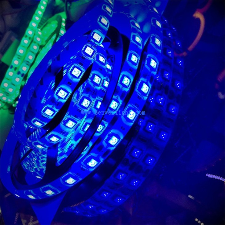 Warm White Neon Flex Strip Light (4)